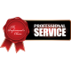 Professional Services